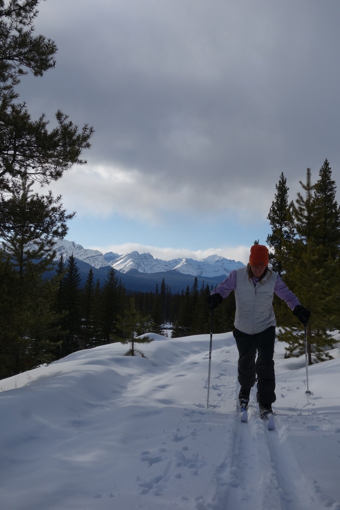 Michael enjoying a fast ski