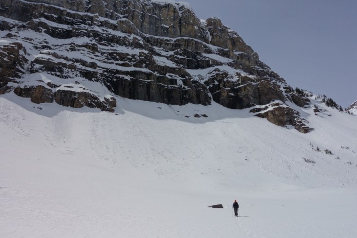 Who would guess it's May?