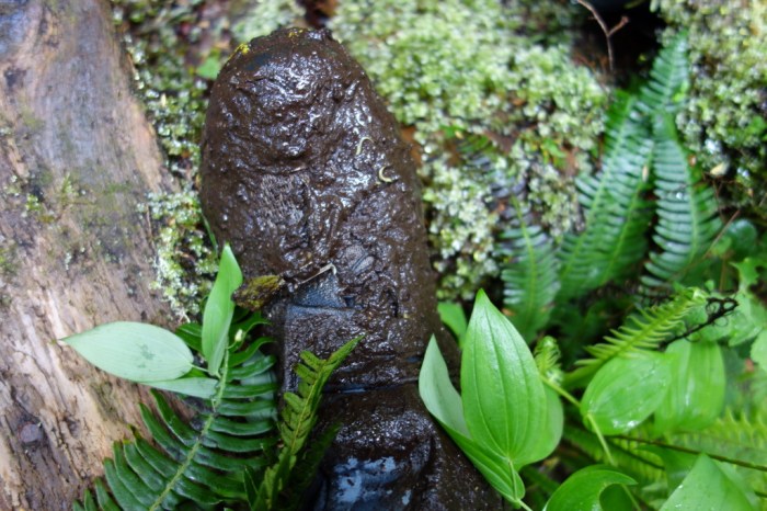 Is that my shoe under all that mud?