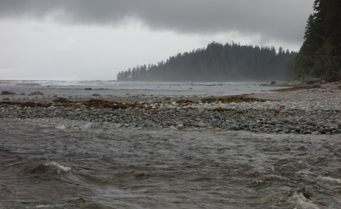 Hiking the West Coast Trail in&nbsp;Spring