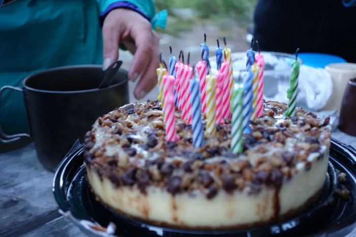 Cheese cake survived two days of backpacking!