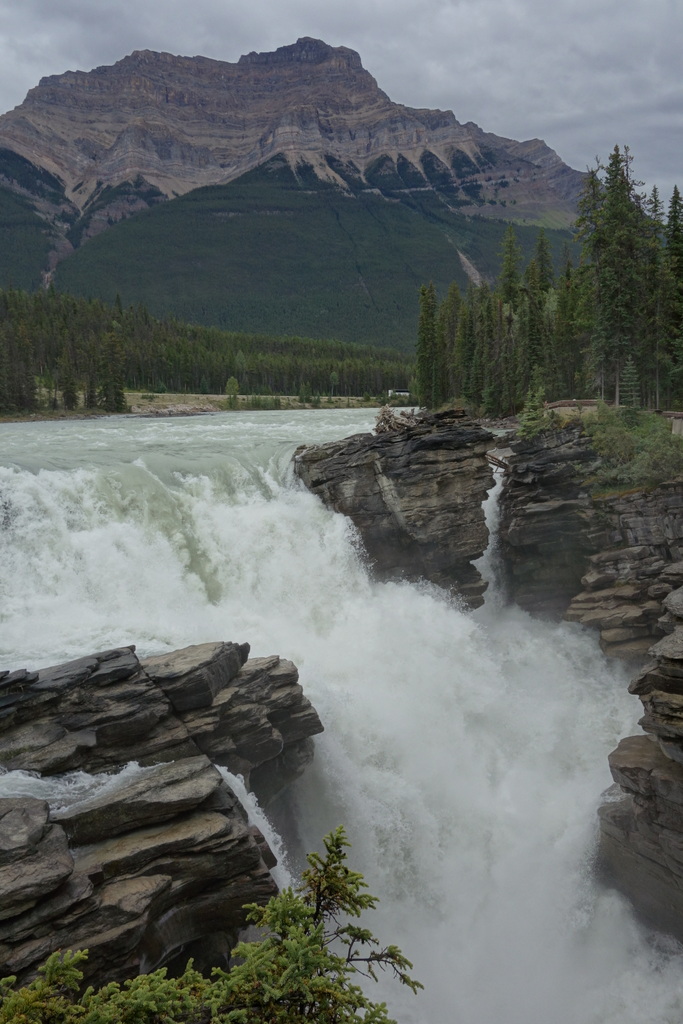 Athabasca Falls
