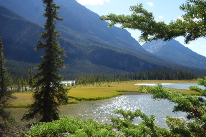 The Athabasca Pass portage route