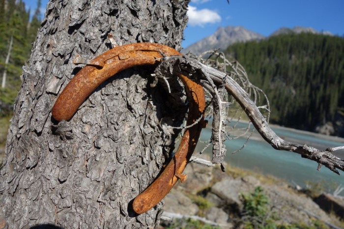 Perhaps 200 years old!