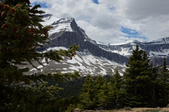 Still lots of snow up high