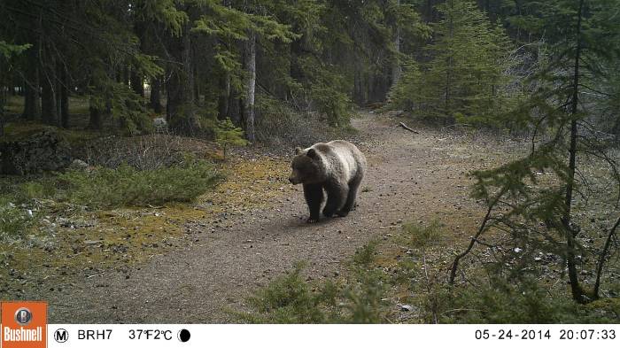 M2E57L190-191R385B306