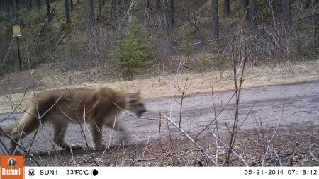 M2E45L153-153R394B323