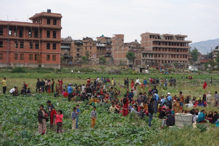 Taking shelter in the open