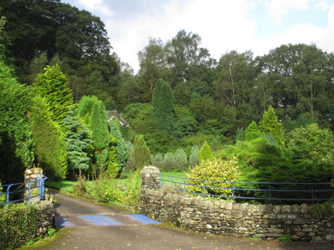 Sunshine is such a treat after a huge storm.