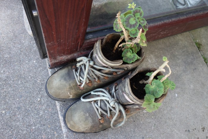 Improvised flower pots at the Torridon Youth Hostel