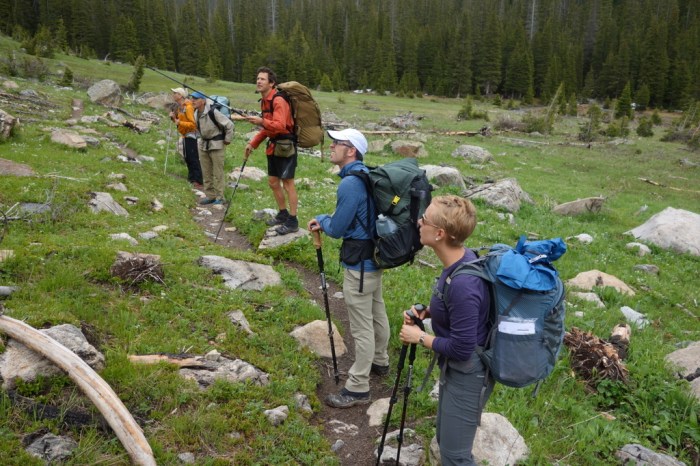 Evaluating evidence of an avalanche