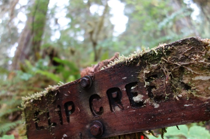 Elip Creek, our first campsite