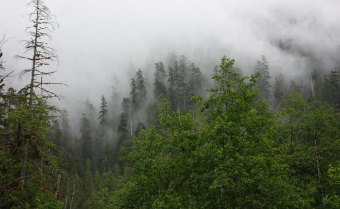 Backpacking Adventure with Andrew&nbsp;Skurka