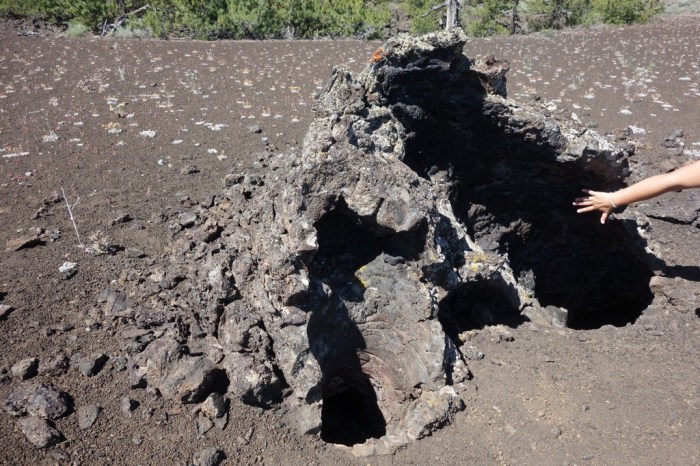 Hot lava poured itself around trees and somehow managed to avoid burning them through, instead leaving a hole were the tree once was