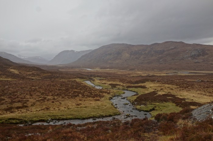 I awake to cold mist and drizzle