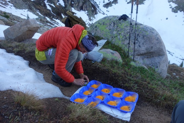 Andrew allocates the goodies