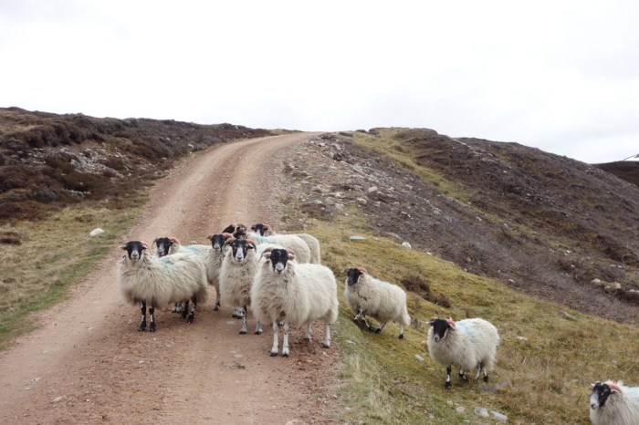 Heavy traffic on the Burma Road