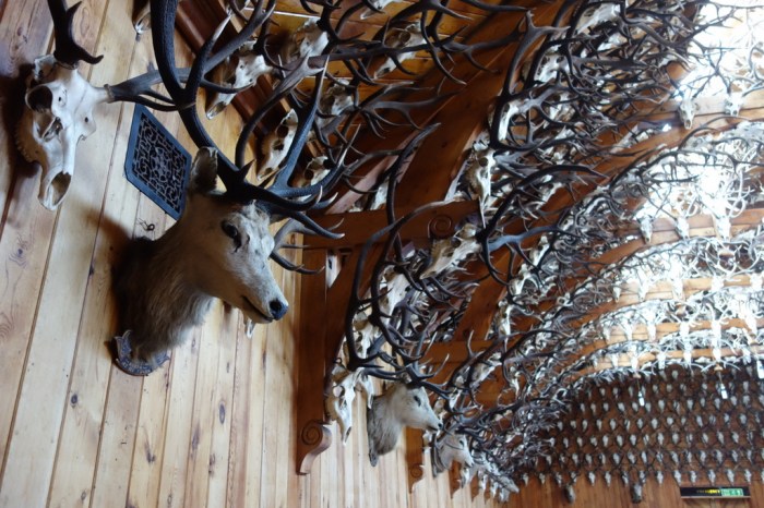 There are more than 2,500 stag heads dating from the Victorian era!