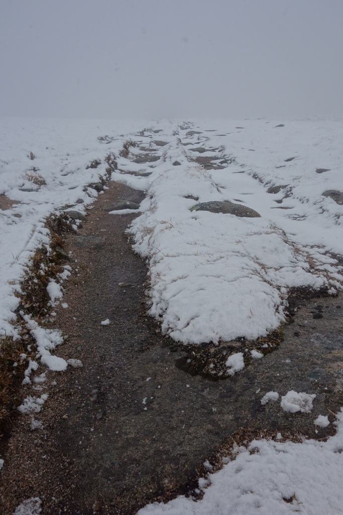 Starting to stick...