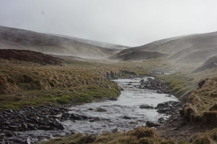 Mist rises after a hard rain