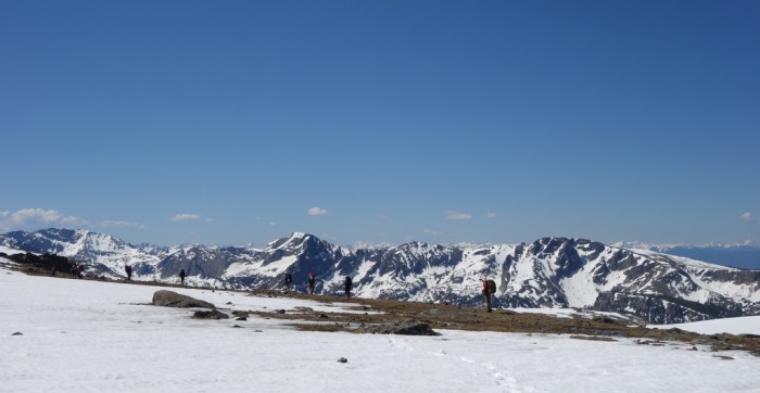 Crossing Bighorn Flats