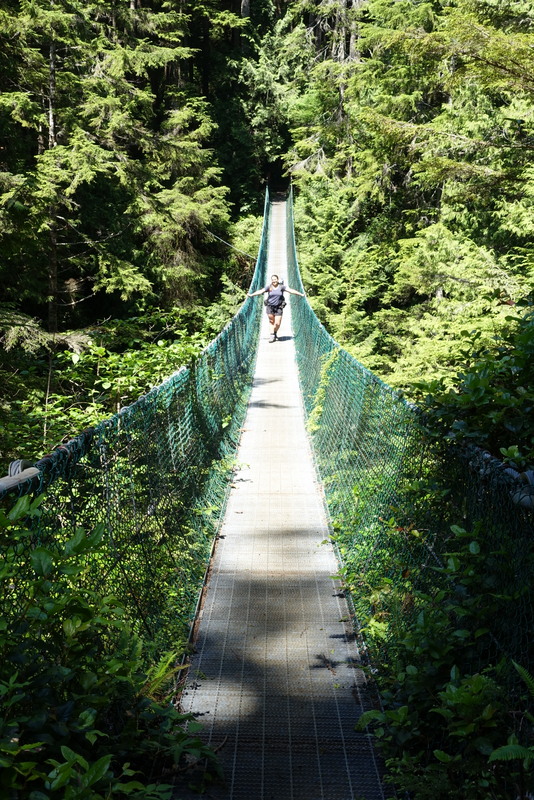 The bridges are so fun!