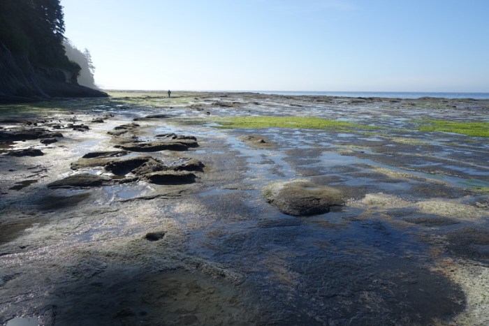 Walking from Camper Bay to Sandstone Creek along the beach