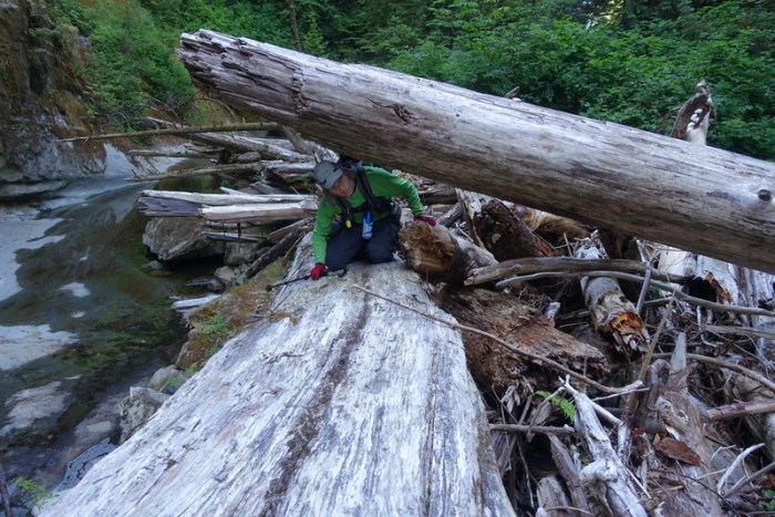 Log jam in Sandstone Creek