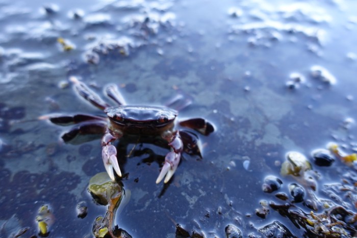 What you lookin' at?!