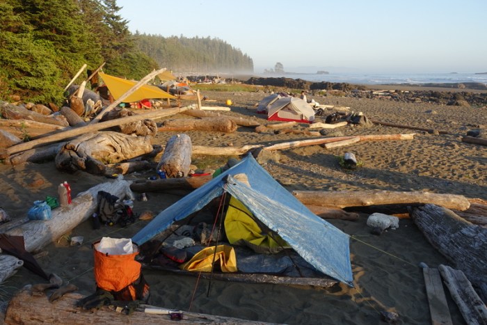 Sunny evening at Cribs Creek