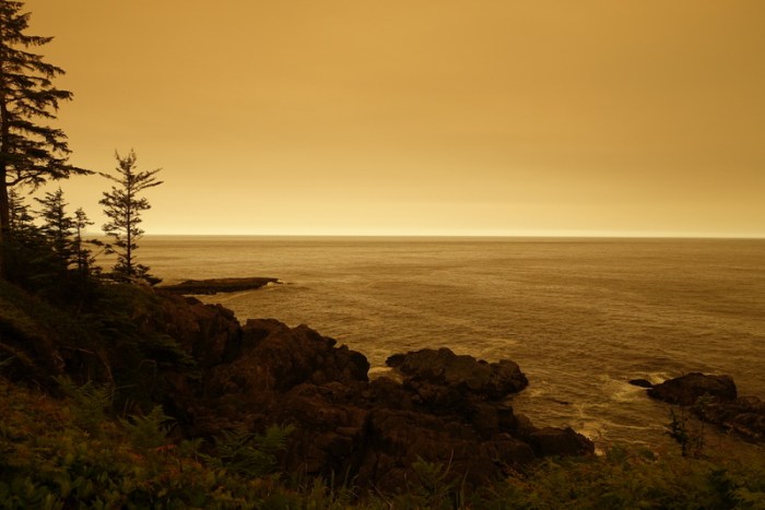 Forest fire smoke colours the sky