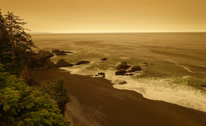 Drought and Forest Fires on the West Coast&nbsp;Trail