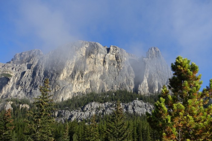 Ghostly morning mist