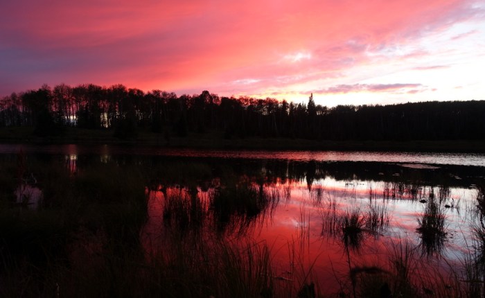 Lakeland Canoe Circuit