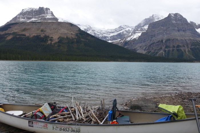 Loading up with driftwood