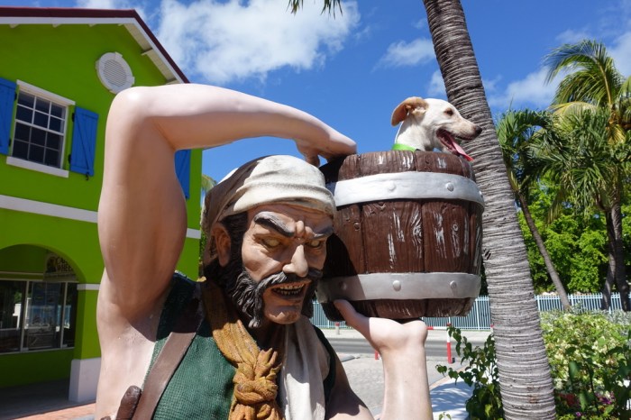 Pirate puppy commands her buccaneers