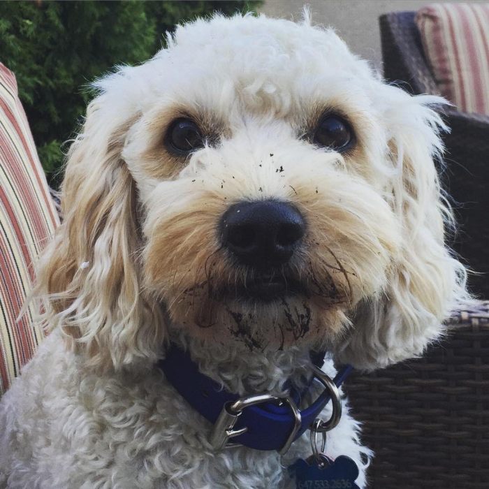 Prince, enjoying life