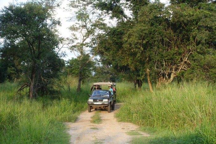 A nice calm Jeep Safari