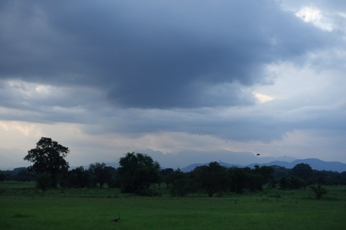 Thunderheads blow in