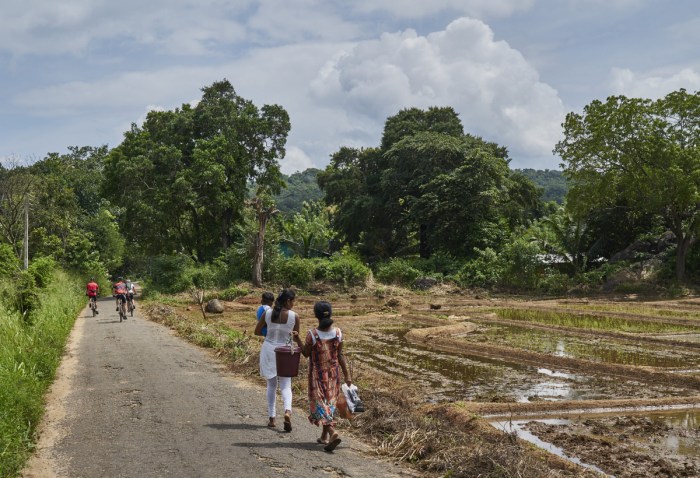 The richness of rural roads