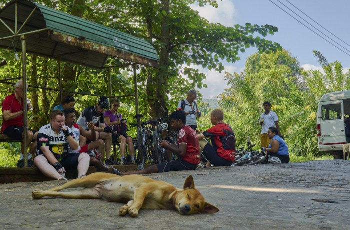 Taking a much-needed break