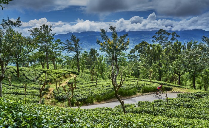 Sri Lanka Cycle Tour with SpiceRoads