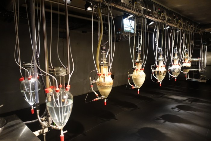 The slightly creepy "digestion machine" at MONA