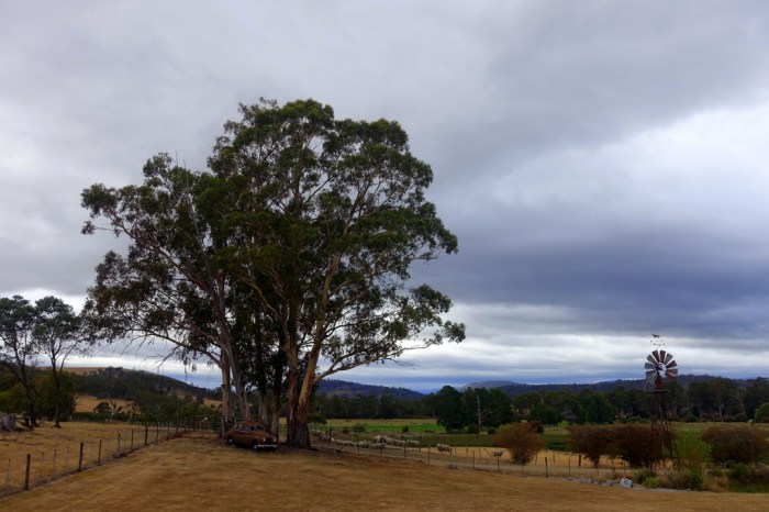 View from Duffy's Country in Westerway