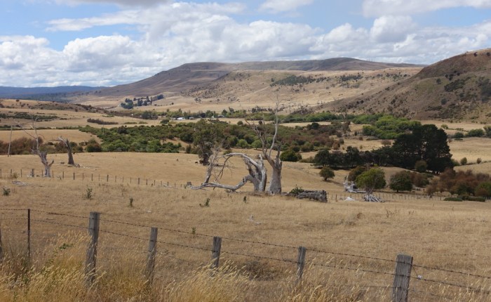 Up to the Tasmanian&nbsp;Highlands