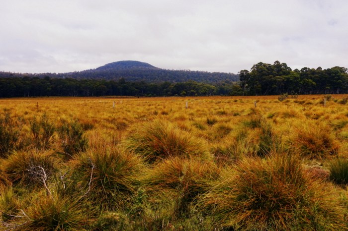 Tasmanian Highlands