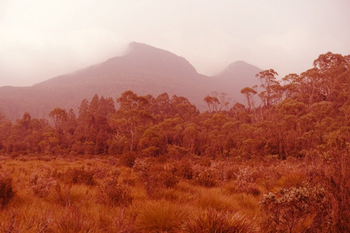 Bush fire smoke obscures spectacular peaks