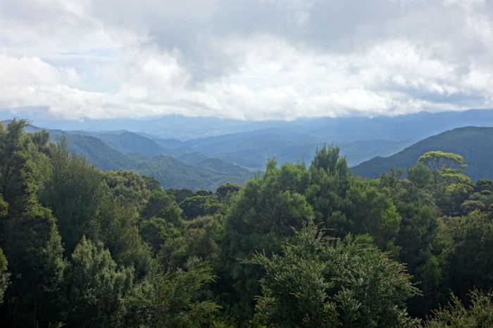 Looking back toward Queenstown and her copper-rich mountains
