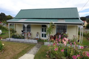 The home of Lyn's hand-made teddy bears