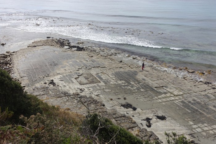 Tessellated Pavement